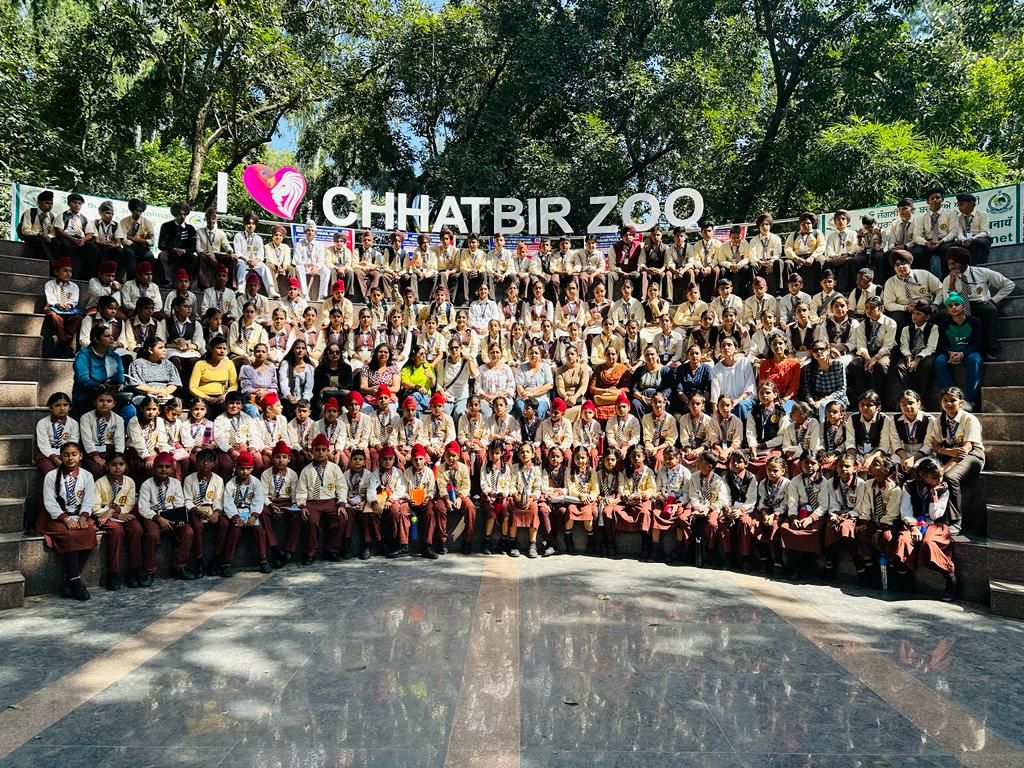 WhatsApp Image 2025 11 04 at 1 05